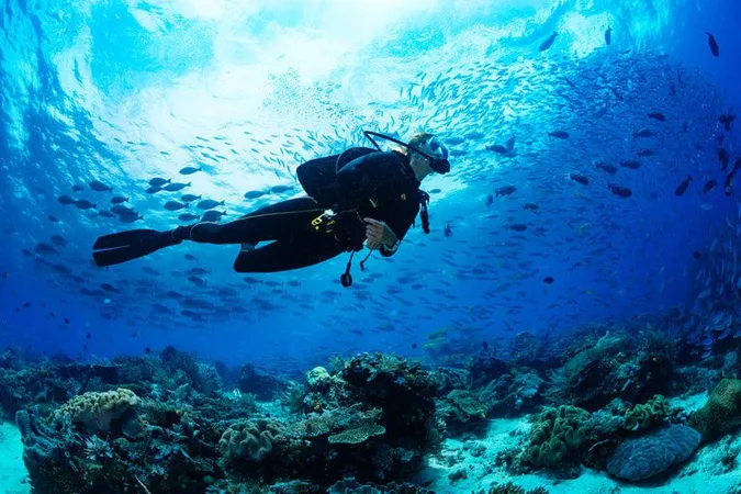 Scuba Diving Classes Near Me - Scuba Diving study guide