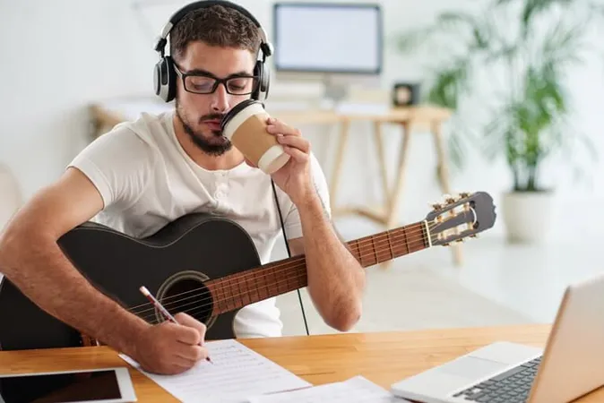 Male Singer Songwriters - Songwriters study guide