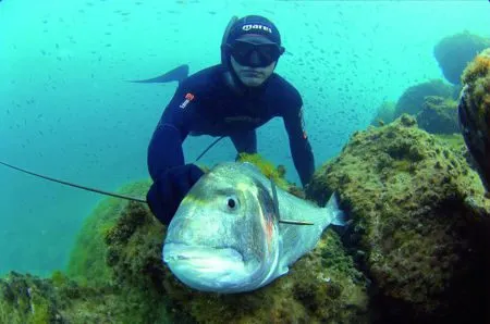 Spearfishing - Spearfishing