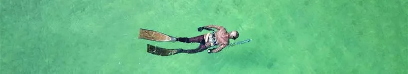 Spearfishing - Spearfishing