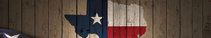 Texas Starr Test Sample History - Texas History Test study guide