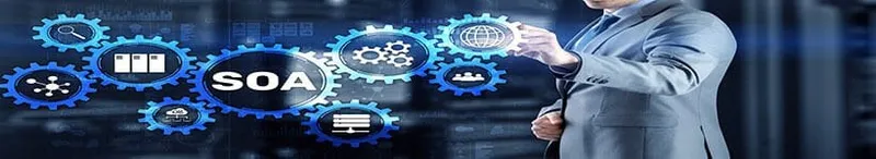 Togaf Framework - TOGAF study guide