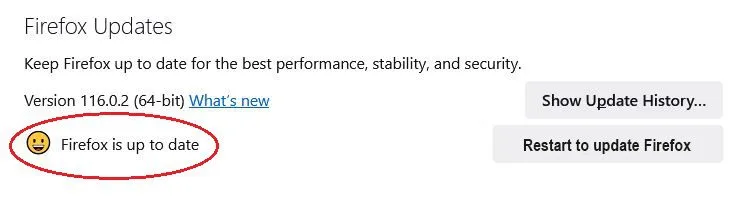 Firefox Up To Date - Update Browser study guide