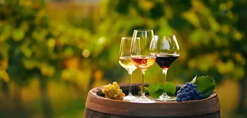 Wset Preparation Test X - WSET (Wine and Spirit Education Test) study guide