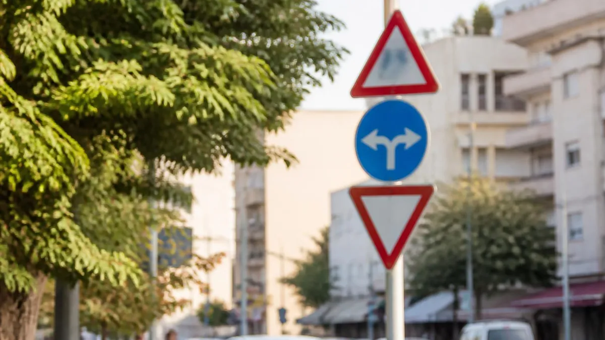 Quiz Patente B in Lingue Straniere - Quiz Patente B - Esame Teoria Patente Auto certification study resource