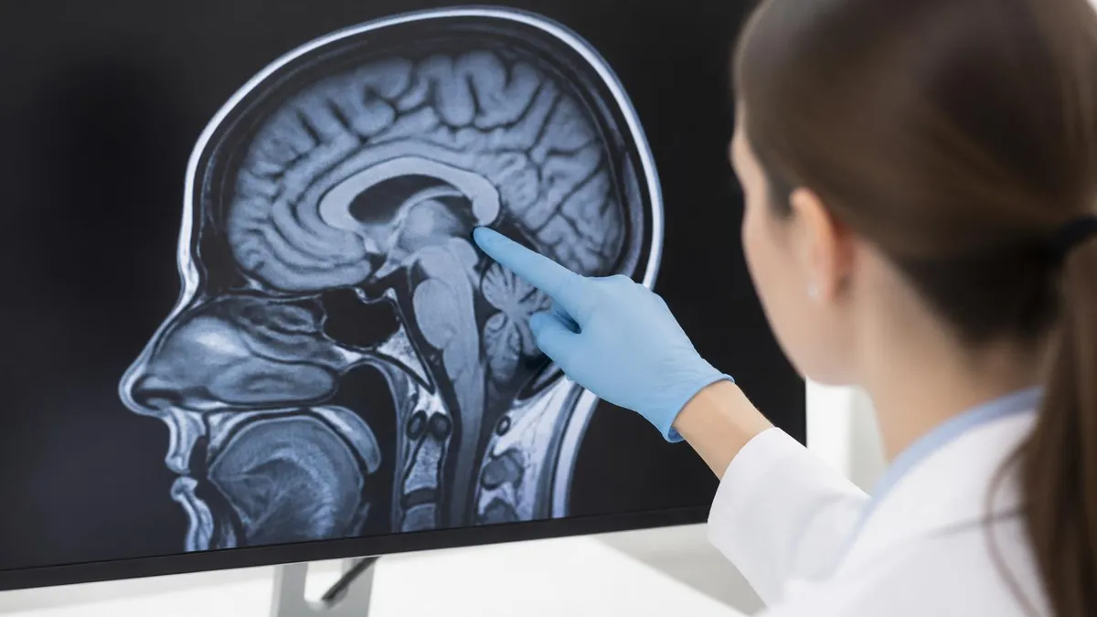 What an Mri Tech School Actually Teaches - MRI - Magnetic Resonance Imaging certification study resource