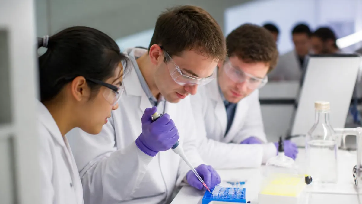 Havo Examen Tips Slagen - HAVO-examen Oefenen (Nederlands, Wiskunde, Engels, Biologie, Economie & Scheikunde) certificatio...