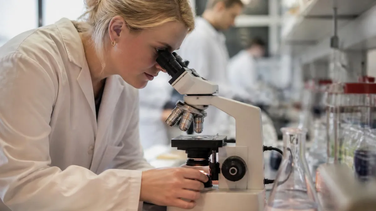 HAVO-examen Tips: Zo Slaag je voor je Eindexamen 2026 June
