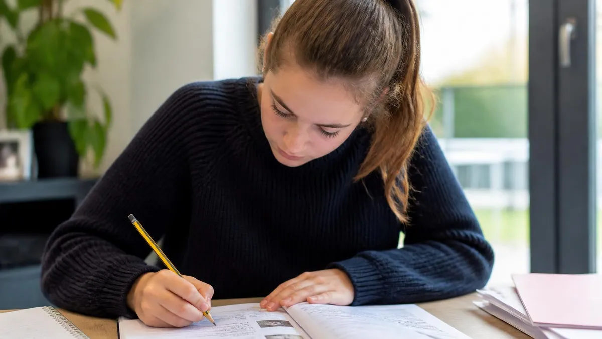Vlaanderen - Rijbewijs Theorie - Vlaanderen België certification study resource