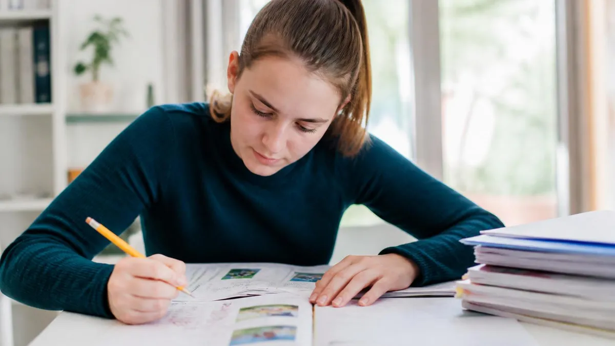 Kosten En Vereisten Auto Theorie Examen - Theorie-examen Auto (Rijbewijs B) certification study resource