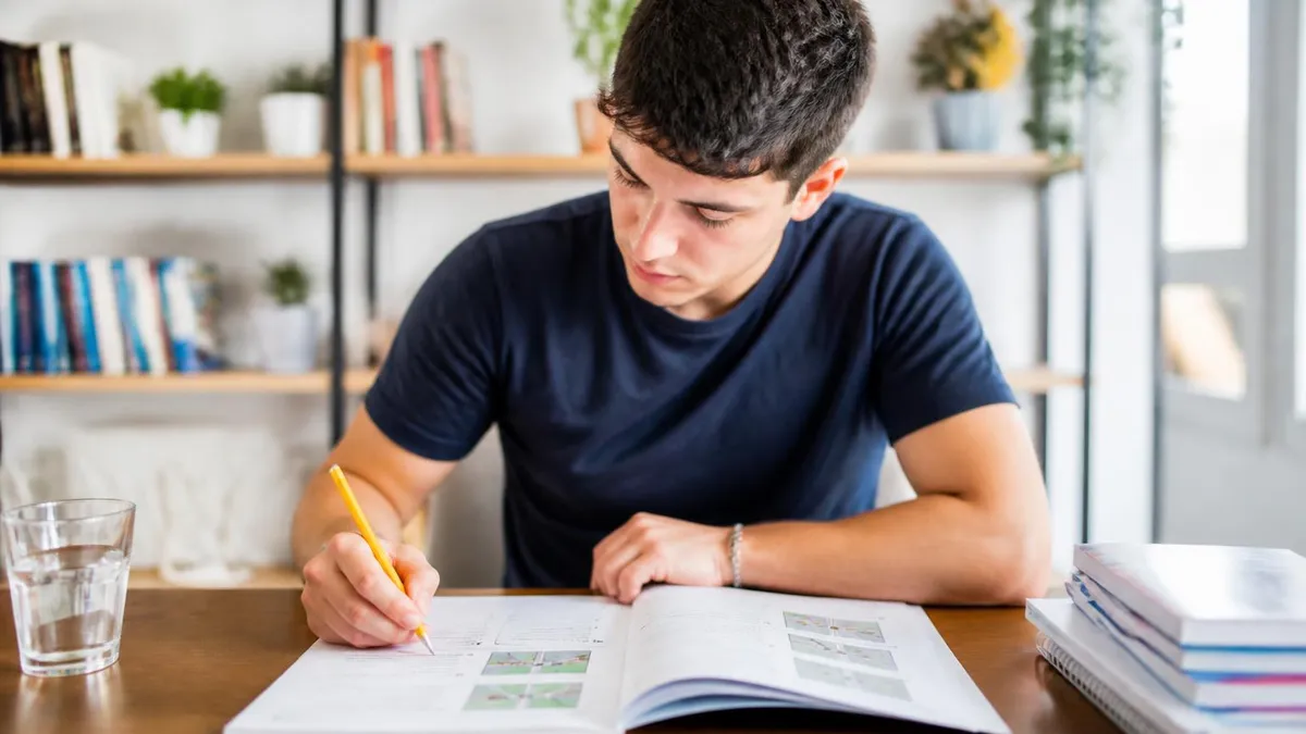 Verschil Theorie Examen Motor En Auto - Theorie-examen Auto (Rijbewijs B) certification study resource