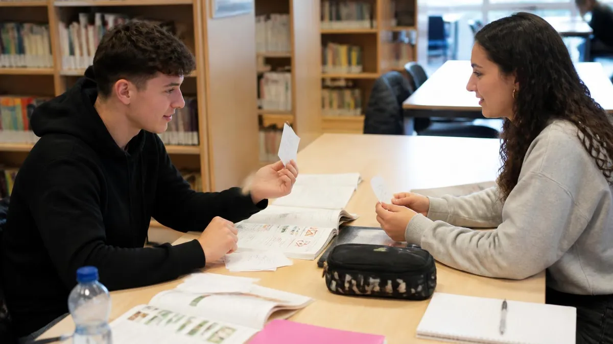Bromfiets Theorie Examen Oefenen: Complete Gids voor het CBR Theorie-examen