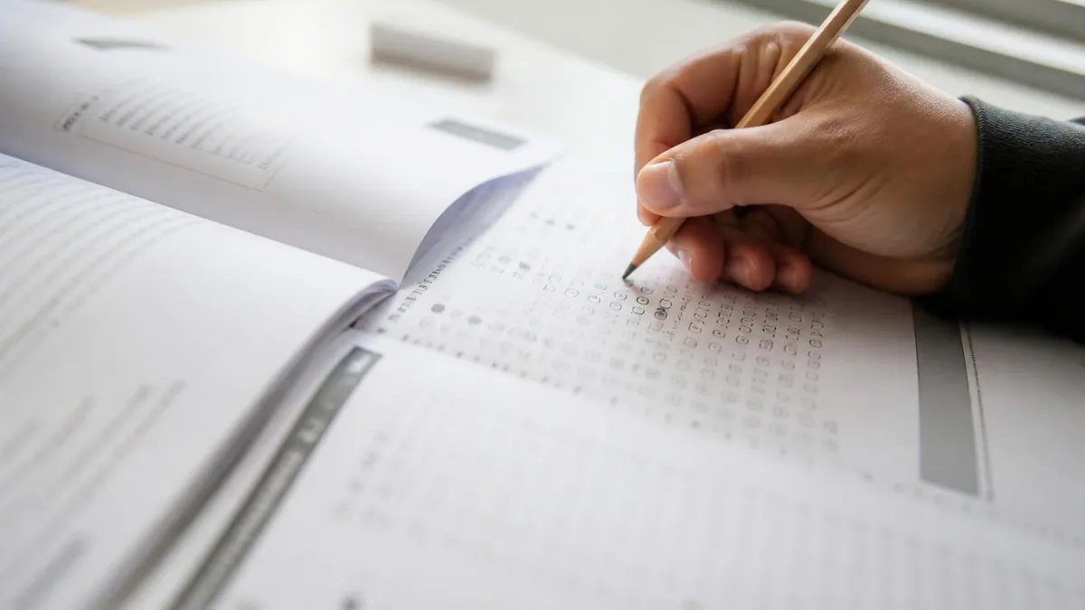 TLC Transport in NYC: Everything You Need to Know About For-Hire Vehicle Licensing and Operations