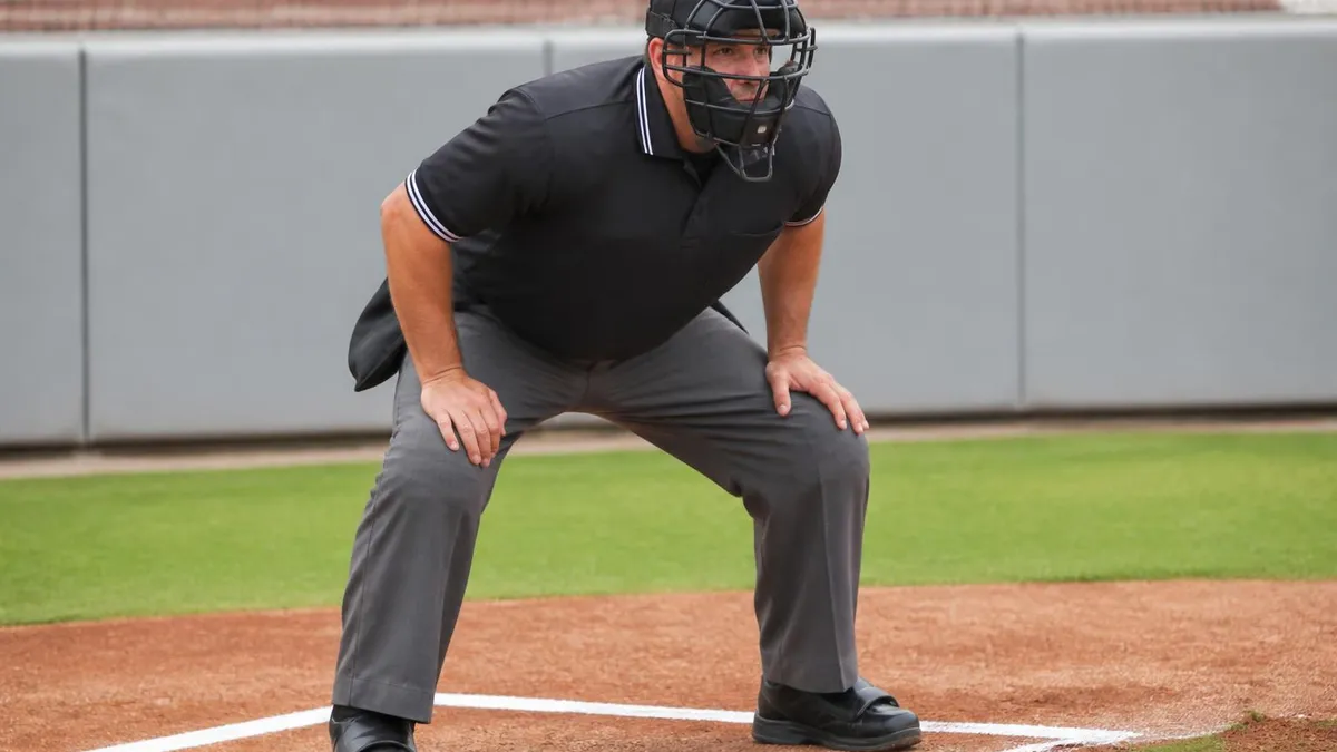 Baseball Umpire Snapshot - Umpire Certification certification study resource