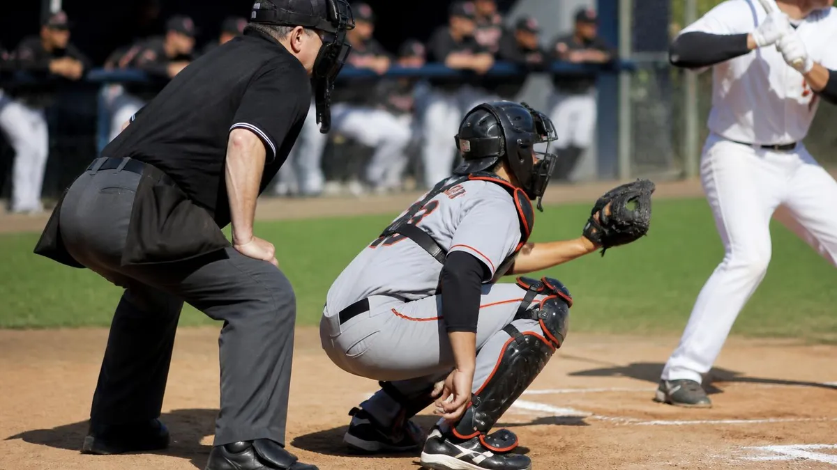 What is an Umpire - Umpire Certification certification study resource