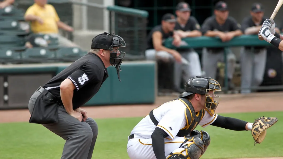 What is an Umpire - Umpire Certification certification study resource