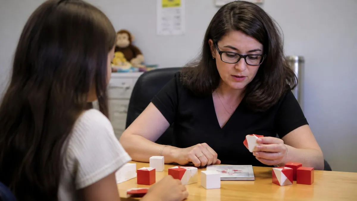 Wechsler Children Intelligence Scale - Wechsler Test certification study resource