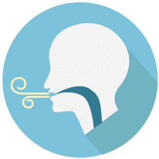 airway - Practice Test Geeks