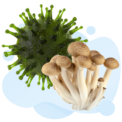 Fungus infection