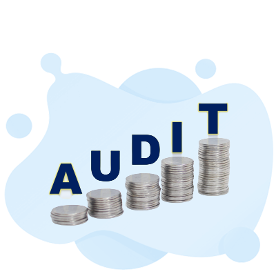 online quality auditor certification