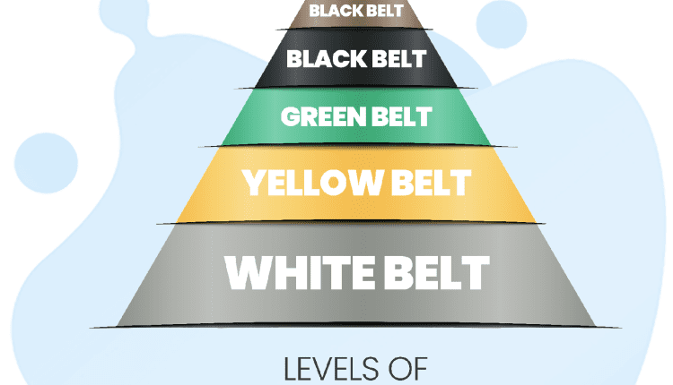 lean-six-sigma - Practice Test Geeks