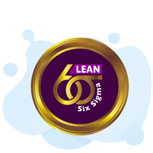 lean six sigma yellow belt