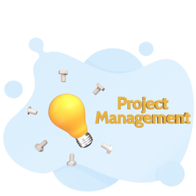 sap project risk management