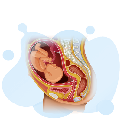 childbirth education materials