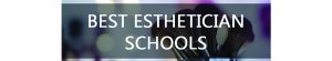 esthetician school online