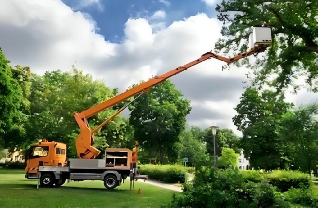 tree care safety