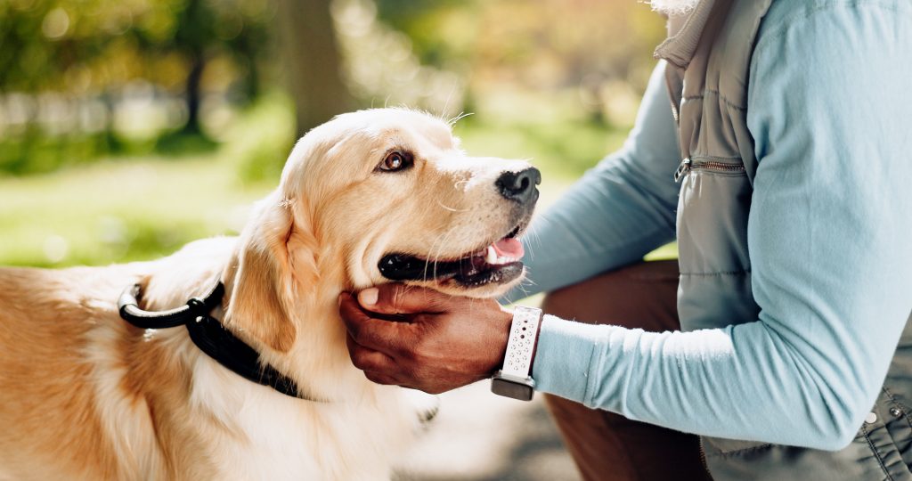 emotional support pets