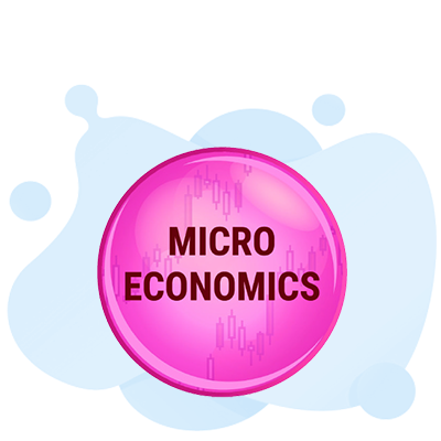 microeconomic theory