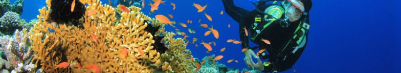 Coral Reef Scuba Diving